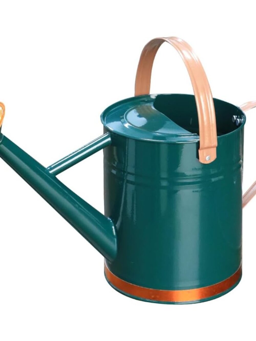 Metal Watering Can 1 Gallon for Outdoor Indoor Garden Plants,GreenB